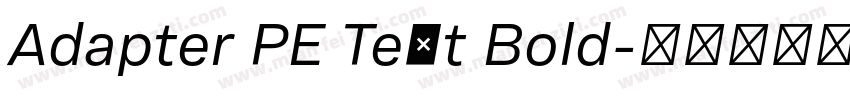 Adapter PE Text Bold字体转换
